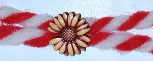 25224